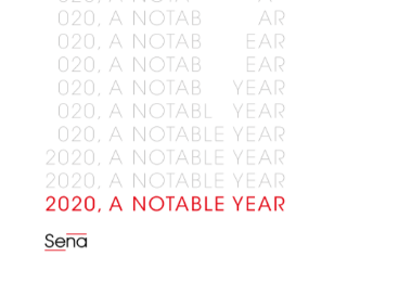 Annual report 2020